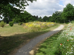 Ilten Am Park&nbsp;&copy;&nbsp;Stadt Sehnde
