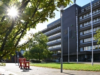 Baumelbank Rathaus