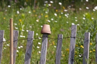 Garten Garten © Bild von David_Seifert auf Pixabay