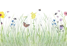 Illustration Wiese, Insekten: Heller-Grafikdesign/   Illustration Wiese: Lea Poppe
